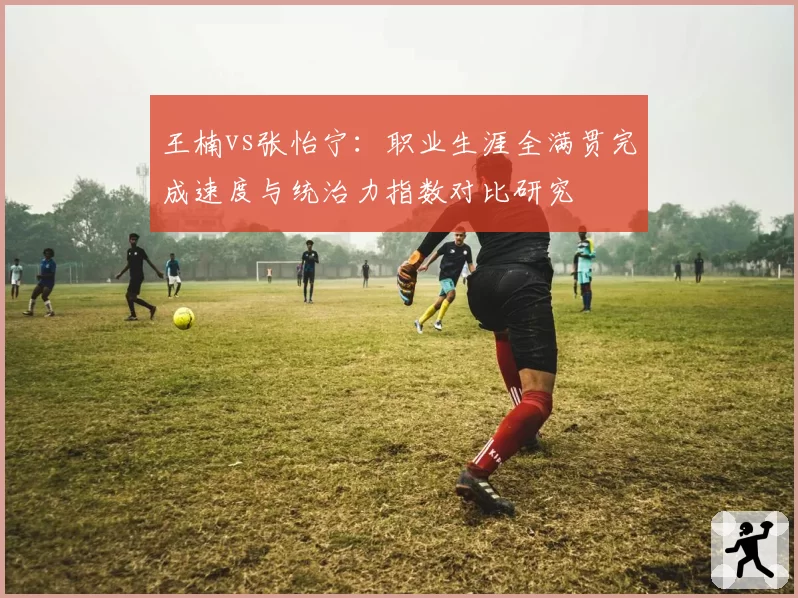 王楠vs张怡宁：职业生涯全满贯完成速度与统治力指数对比研究