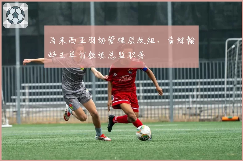 马来西亚羽协管理层改组，黄综翰辞去单打教练总监职务