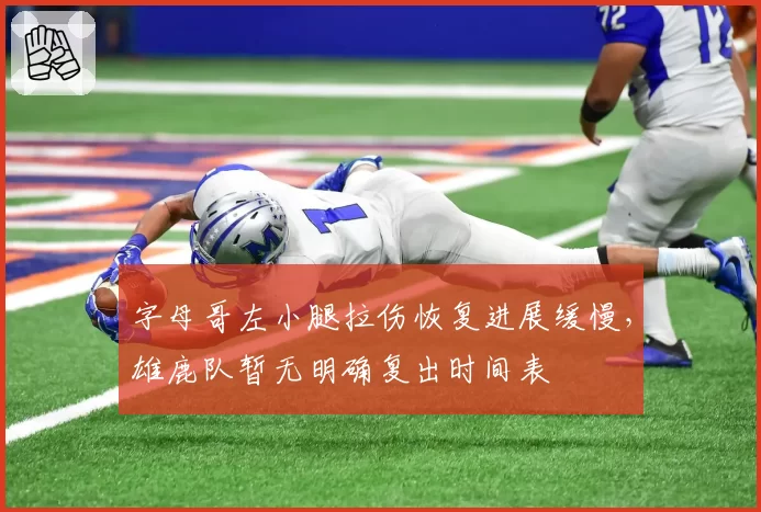 字母哥左小腿拉伤恢复进展缓慢，雄鹿队暂无明确复出时间表
