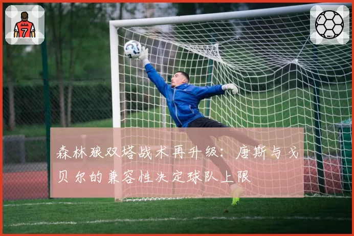 森林狼双塔战术再升级：唐斯与戈贝尔的兼容性决定球队上限